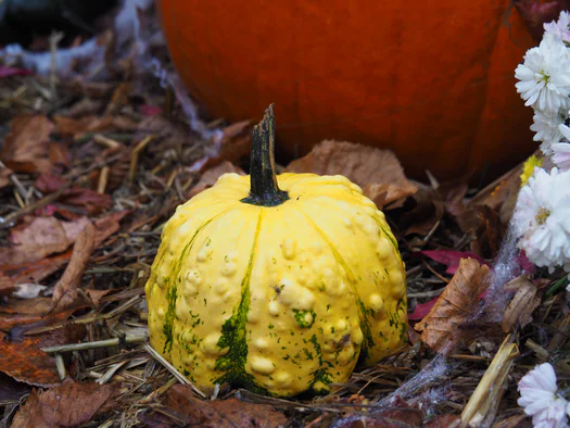 Halloween in Plopsaland (De Panne, Belgium)